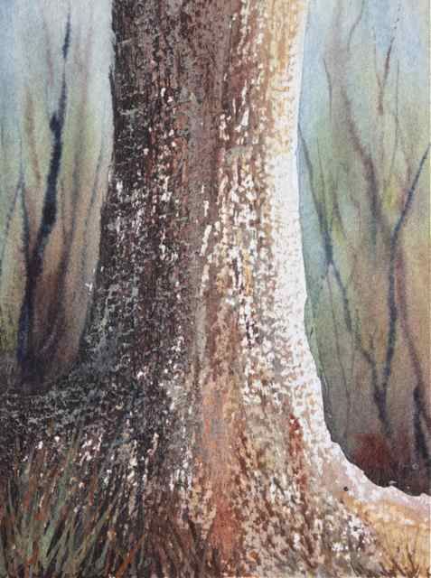 477x640 Watercolour Dry Brush Technique Used For Tree Bark Texture - Watercolor Tree Bark