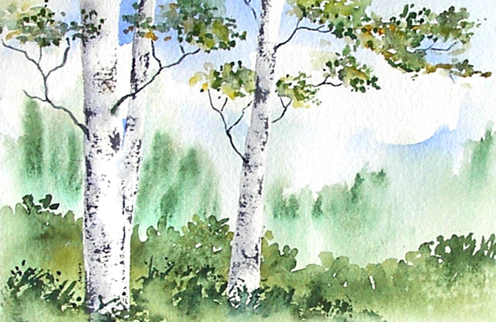 702x457 Original Watercolor Birch Trees Painting These Birch - Watercolor Tree Bark