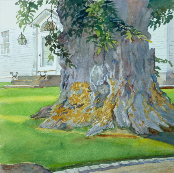 602x600 Nature Amp Man, Elm On Spring Street En Plein Air Watercolor - Watercolor Tree Landscape