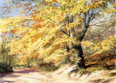236x168 635 Best Art Watercolor Trees Images Watercolor - Watercolor Tree Landscape