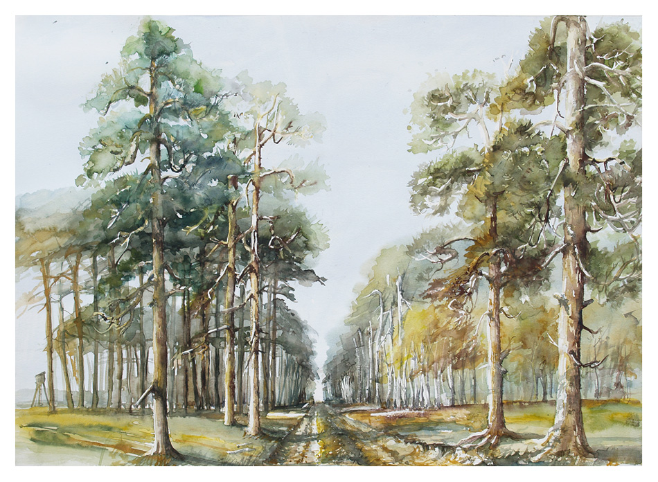 950x696 Solar Landscape With Pine Tree By Modliszqa - Watercolor Tree Landscape