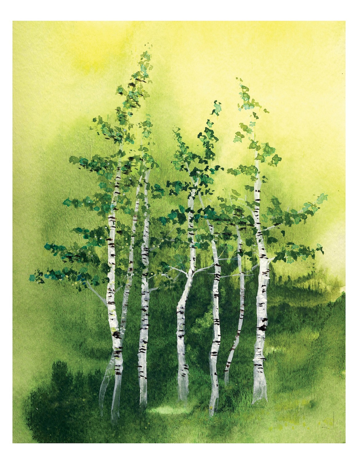 1160x1500 8x10 Tranquil Grove Fine Art Print Birch Trees Woods Forest - Watercolor Tree Landscape