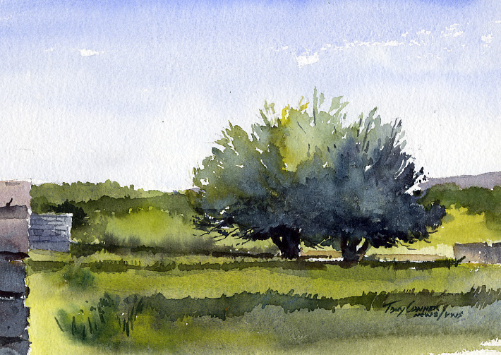 710x503 Fruit Trees, Early Watercolor Landscape Painting - Watercolor Tree Landscape