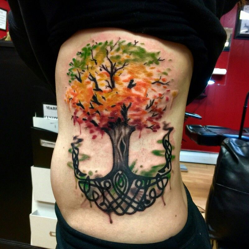 800x800 Watercolor Celtic Tree Of Life Tattoo Tattoo Stuff - Watercolor Tree Of Life Tattoo