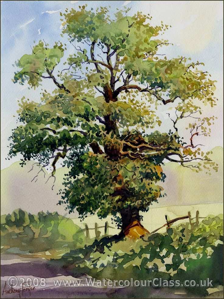 736x981 Tree Painting Unique 25 Best Ideas About Watercolor Trees On - Watercolor Tree Painting