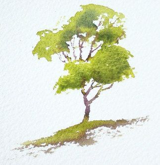 323x333 Watercolor Trees Art Drawing Inspiration Illustration - Watercolor Tree Painting
