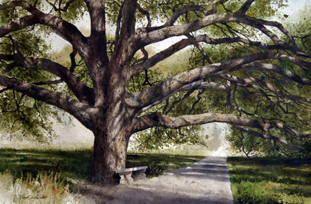450x295 Century Tree Original Watercolor Painting - Watercolor Tree Painting