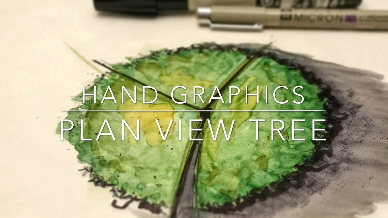 1280x720 How To Draw A Plan View Tree With Watercolor Effect. - Watercolor Tree Plan