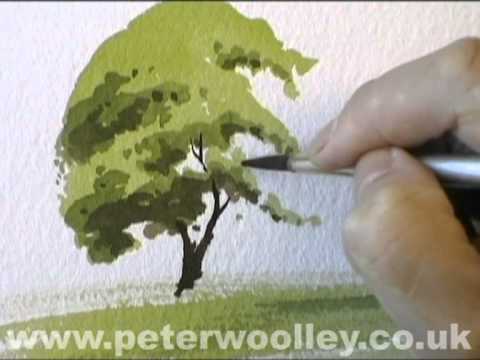480x360 A Simple Tree - Watercolor Tree Plan