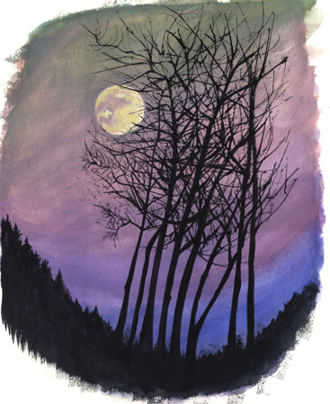 367x450 Shelby Crouse - Watercolor Tree Plan