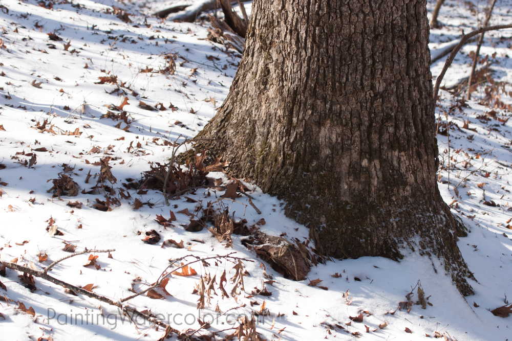 1000x667 Snow Tree Sketch Watercolor Painting Tutorial - Watercolor Tree Trunk