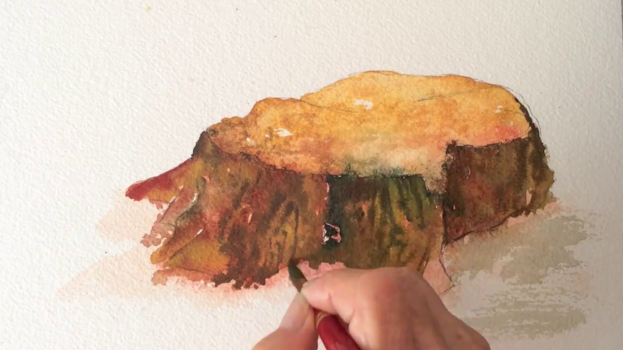 Watercolor Tree Trunk at Explore collection of