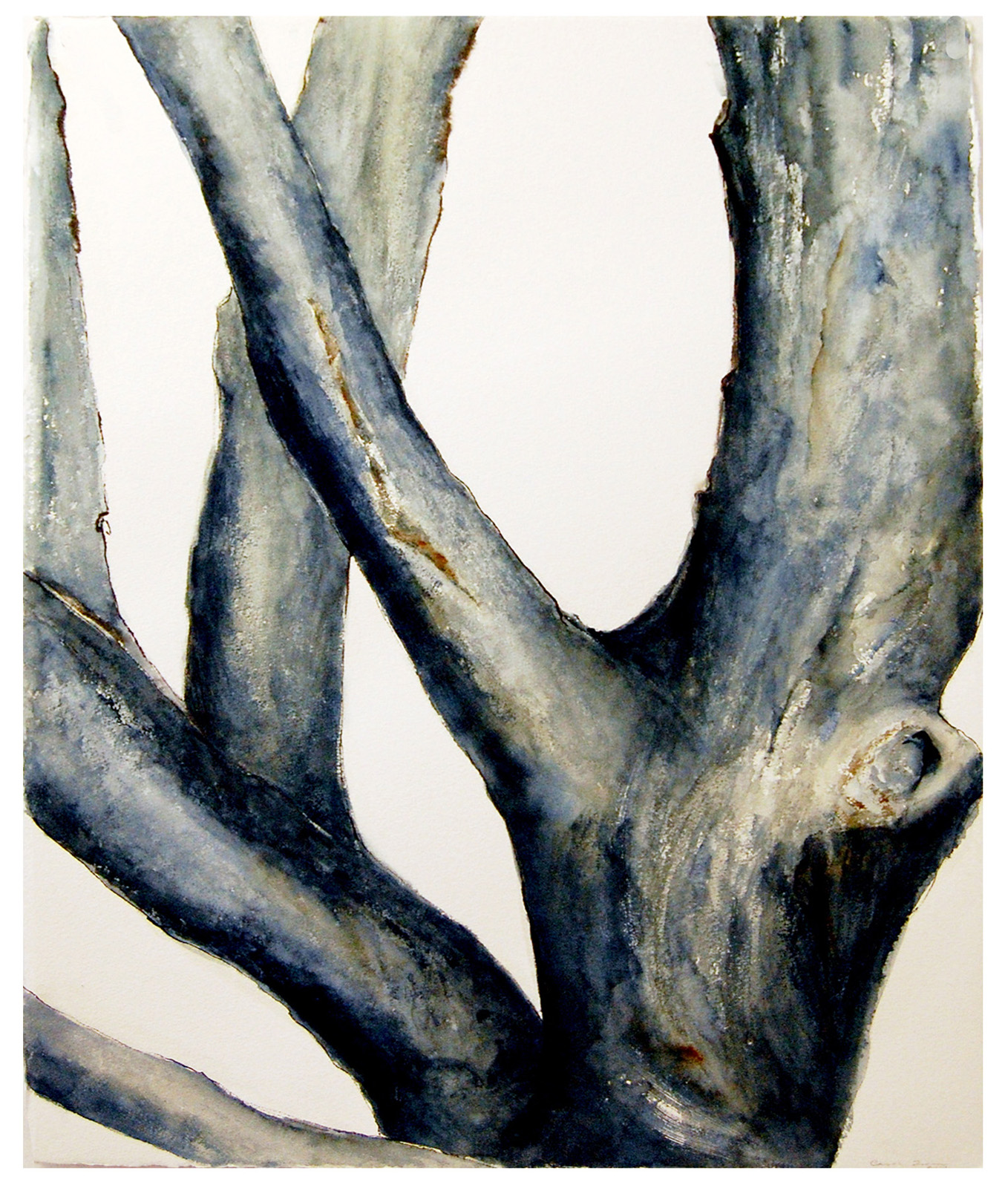 Watercolor Tree Trunk at Explore collection of
