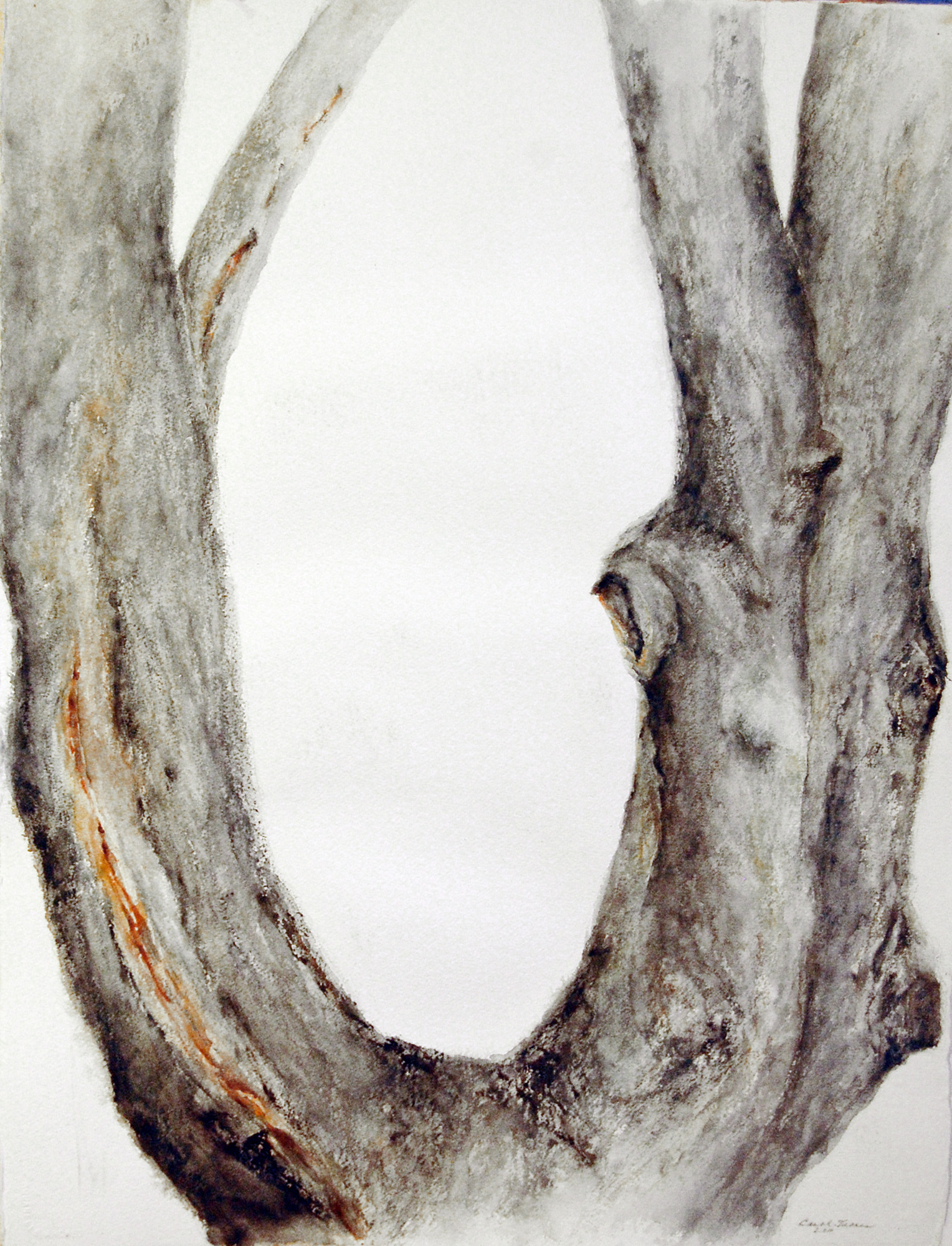 1528x2000 Tree Trunks Series Iv Watercolor On Arches Carol Troen - Watercolor Tree Trunk
