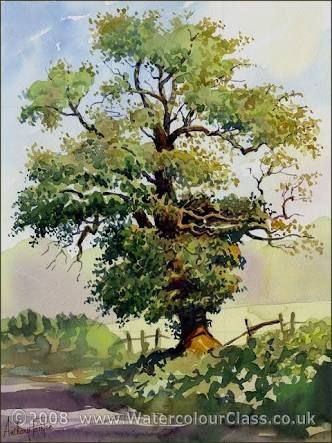 332x443 Image Result For Easy Watercolor Paintings For Beginners Trees - Watercolor Trees For Beginners
