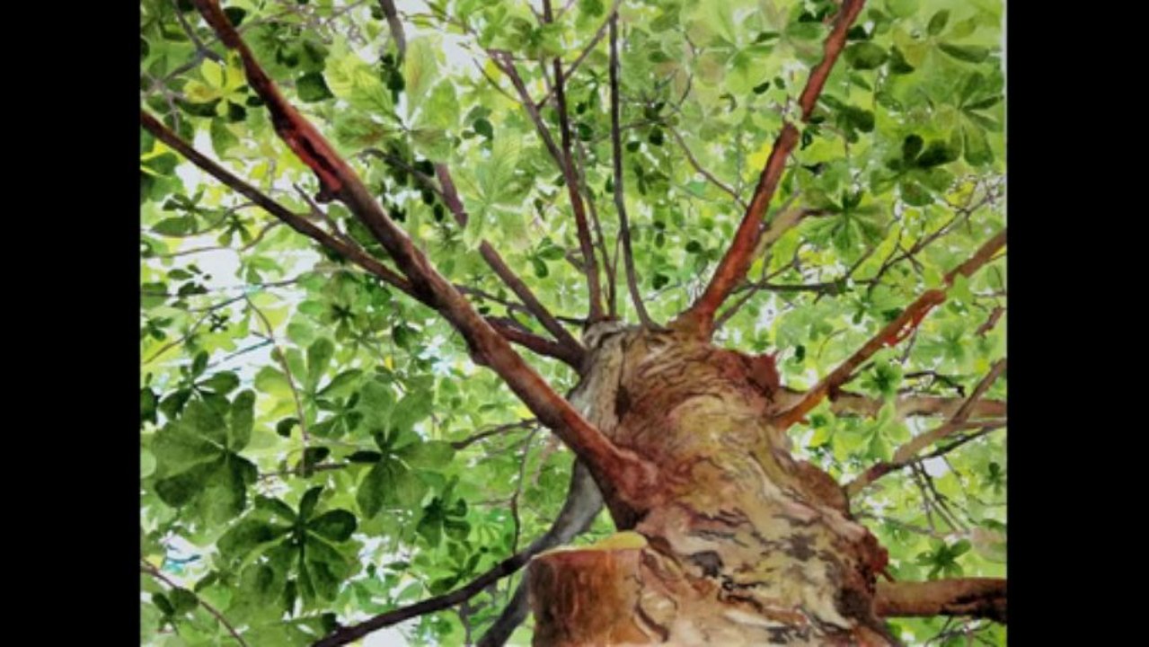 1279x720 Painting Trees And Leaves With Watercolor Leaves Lace - Watercolor Trees For Beginners