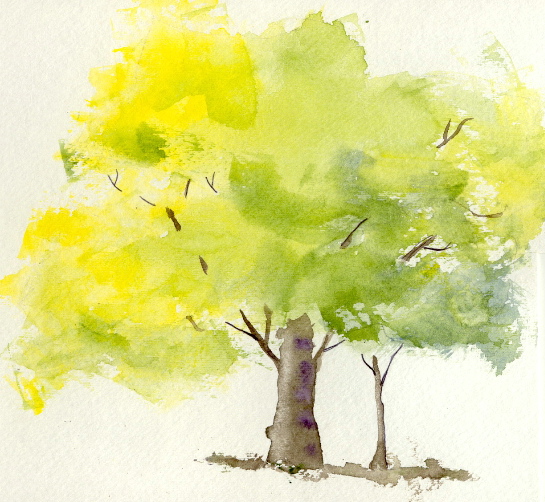 545x502 Tree Watercolor Paintings - Watercolor Trees For Beginners
