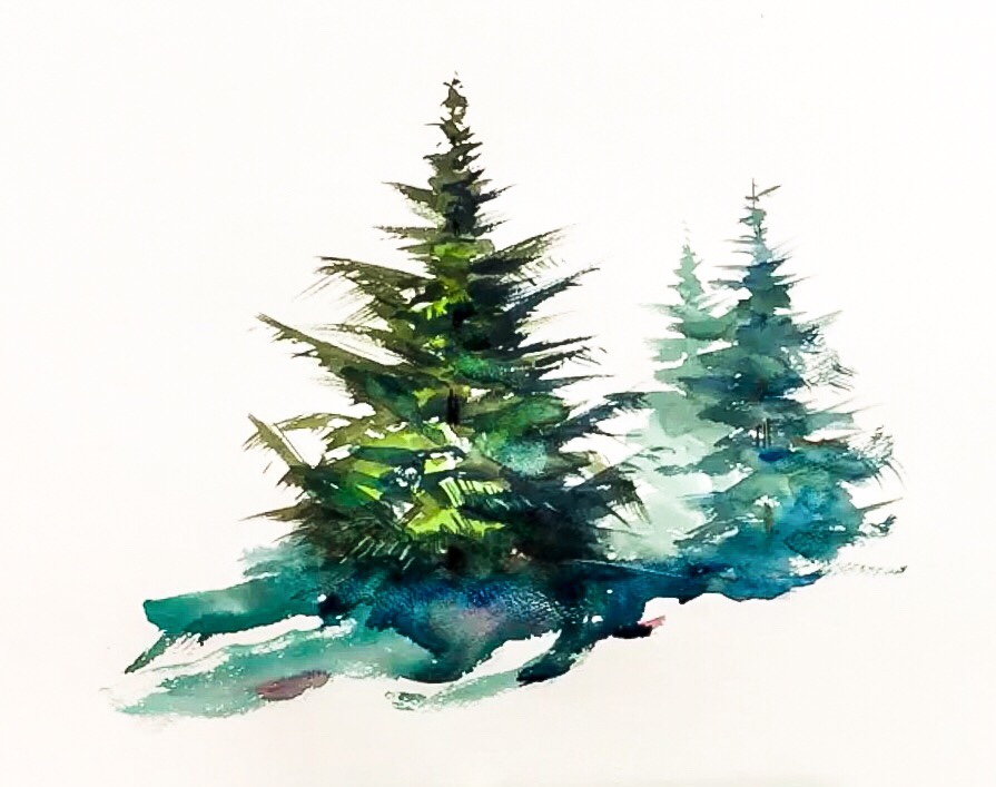 Watercolor Trees For Beginners at Explore