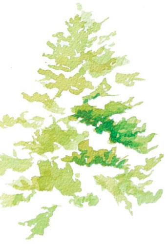 344x510 Beginning Watercolor Starting With Trees Quarto Knows Blog - Watercolor Trees For Beginners