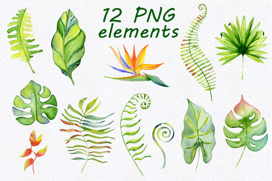 900x600 Tropical Leaves Watercolor Clipart Free Design Resources - Watercolor Tropical