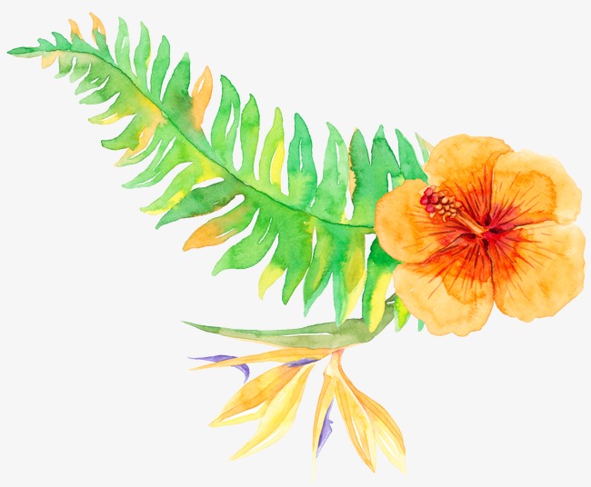 650x536 Tropical Plants, Plants Clipart, Watercolor Leaves, Watercolor Png - Watercolor Tropical