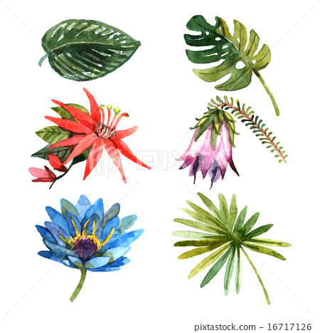 450x468 Tropical Plants Leaves Watercolor Sketch Icons - Watercolor Tropical