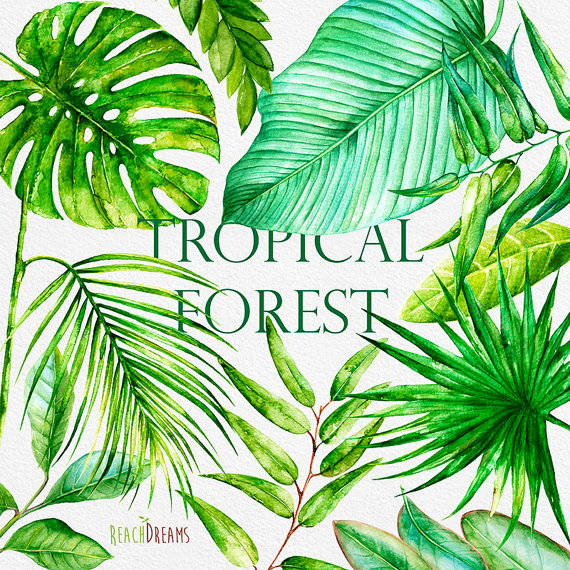 570x570 Watercolor Tropical Bright Leaves. Handpainted Clipart, Foliage - Watercolor Tropical