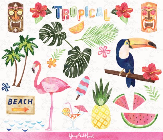 570x488 Watercolor Tropical Clip Art Summer Clipartpack, Flamingo - Watercolor Tropical