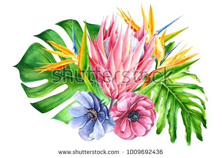 450x320 Bouquet Of Tropical Flowers Watercolor Painting Hand Drawing Blue - Watercolor Tropical