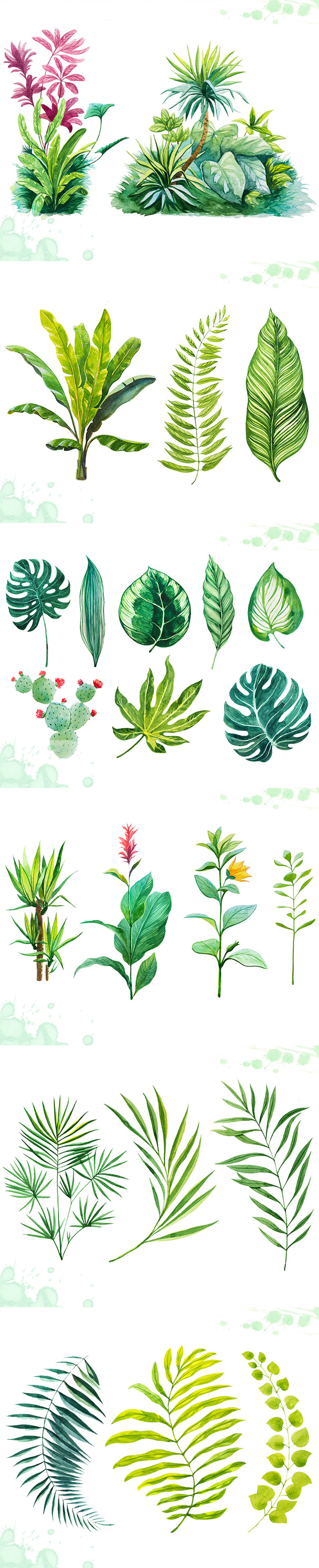 940x4623 Watercolor Tropical Leaves Set Of 16 Plant Illustrations - Watercolor Tropical