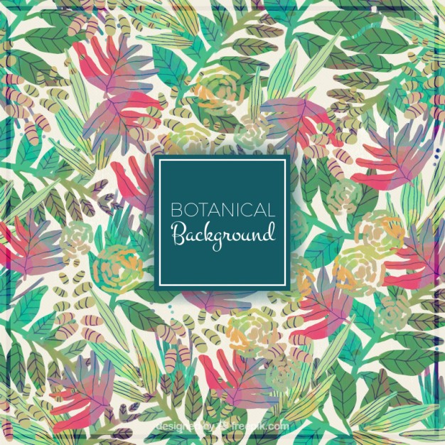 626x626 Download Vector - Watercolor Tropical