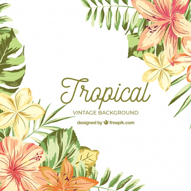 626x626 Watercolor Tropical Background With Vintage Style Vector Free - Watercolor Tropical