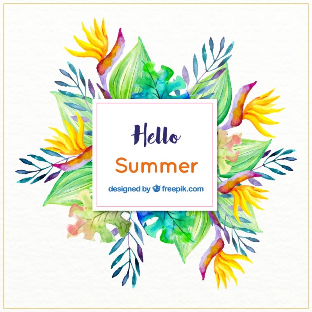 626x626 Watercolor Tropical Flowers And Leaves Background Stock Images - Watercolor Tropical