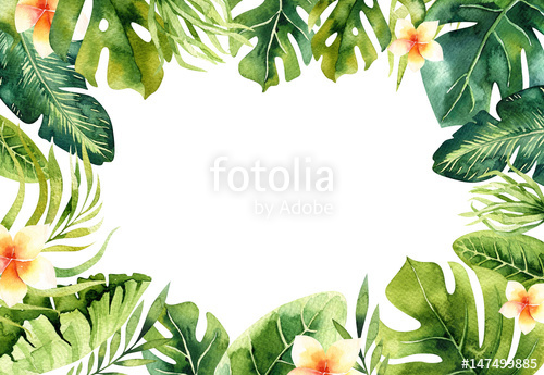 500x345 Hand Drawn Watercolor Tropical Plants Background. Exotic Palm - Watercolor Tropical