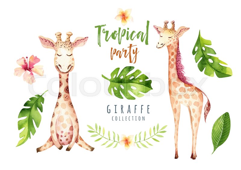 800x565 Hand Drawn Watercolor Tropical Plants Set And Giraffe. Exotic Palm - Watercolor Tropical