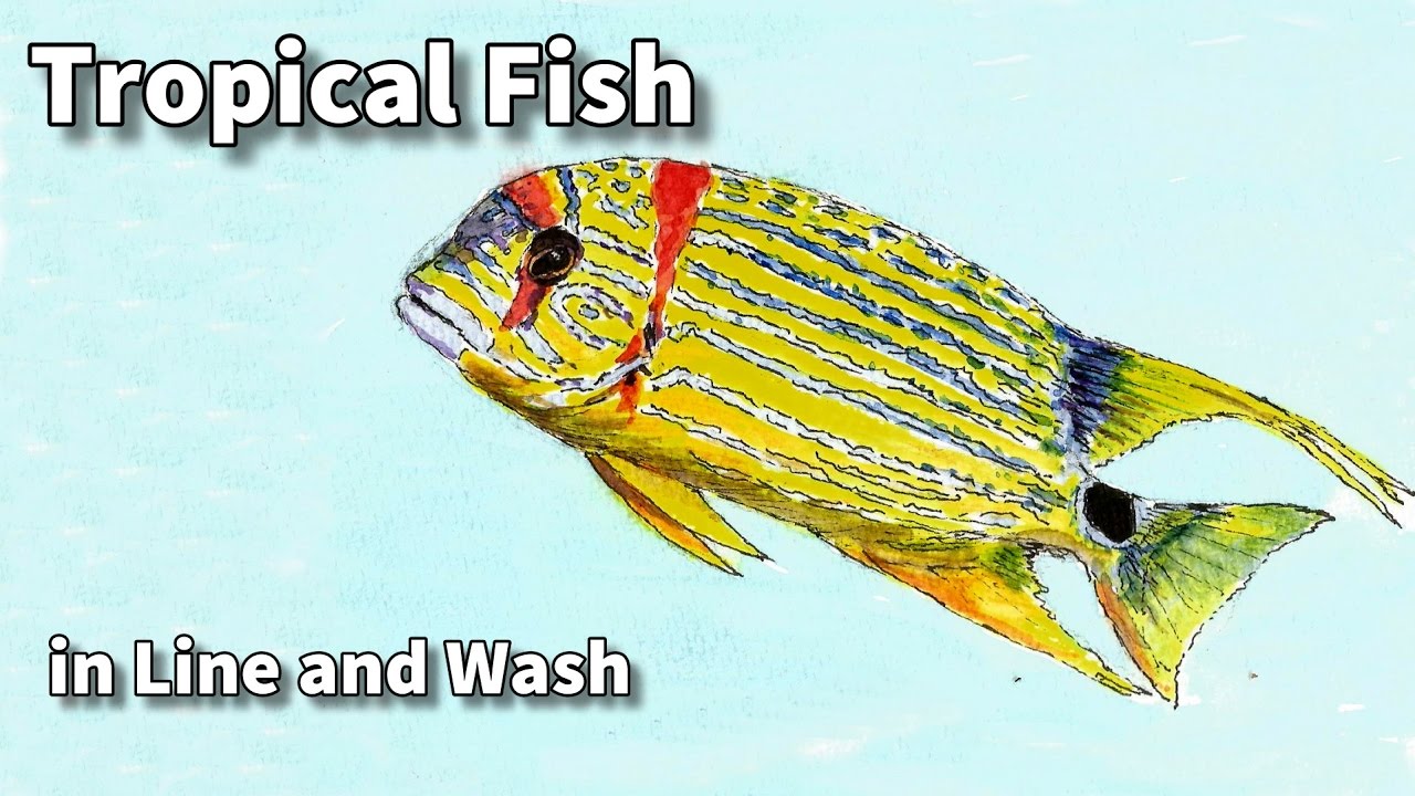 1280x720 Line And Wash Watercolor Painting Tutorial - Watercolor Tropical Fish