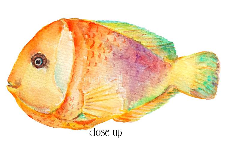 757x505 Tropical Fish Clipart, Watercolor Tropical Fish, Sea Fish - Watercolor Tropical Fish