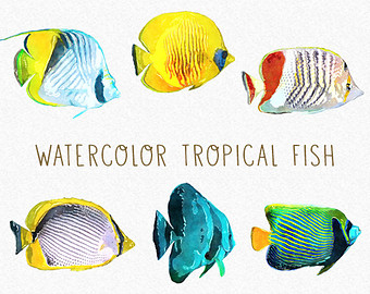 340x270 Watercolor Clipart Fish Free Collection Download And Share - Watercolor Tropical Fish