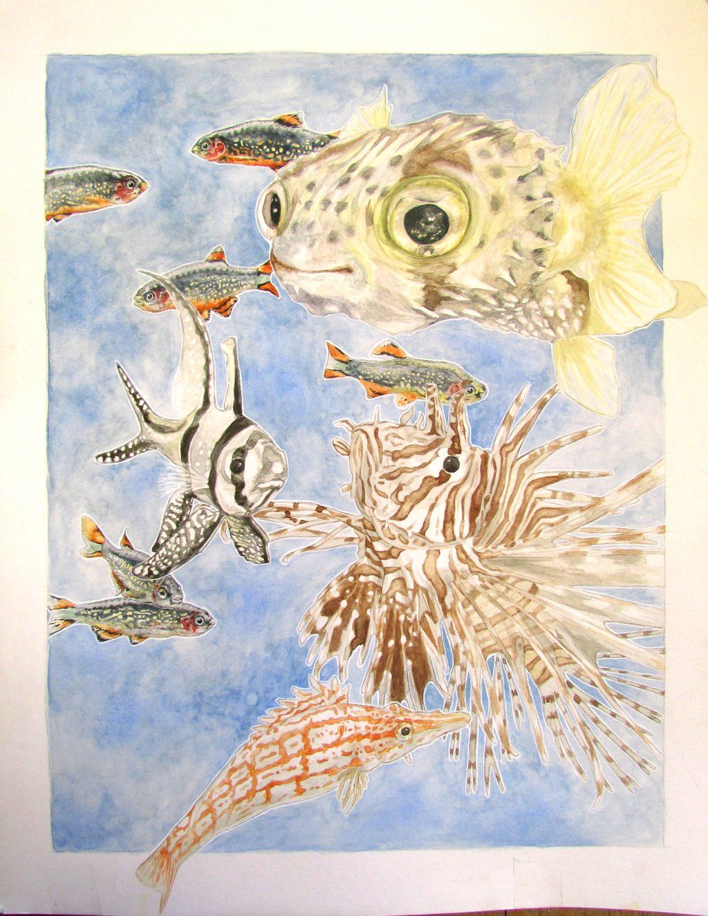 1024x1325 Watercolor Tropical Fish By Jewishperil - Watercolor Tropical Fish