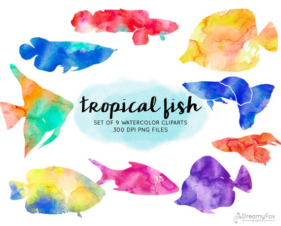 570x459 Watercolor Tropical Fish Clipart Tropical Fish Watercolor Etsy - Watercolor Tropical Fish