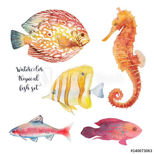 500x500 Watercolor Tropical Fish Set. Hand Drawn Underwater Animal - Watercolor Tropical Fish
