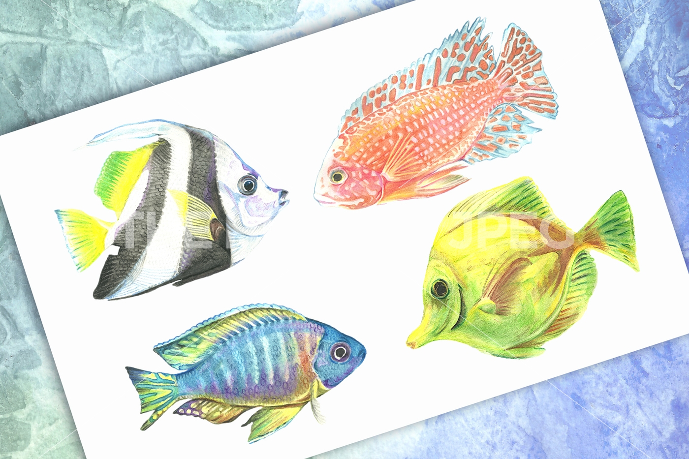 1400x933 Watercolor Tropical Fish. Sample Free By Art Watercolor - Watercolor Tropical Fish