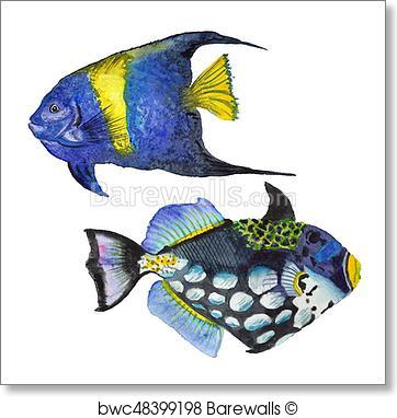 362x382 Art Print Of Watercolor Aquatic Underwater Colorful Tropical Fish - Watercolor Tropical Fish