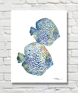 251x300 Discus Tropical Fish Abstract Watercolor Painting 11 X 14 Art - Watercolor Tropical Fish