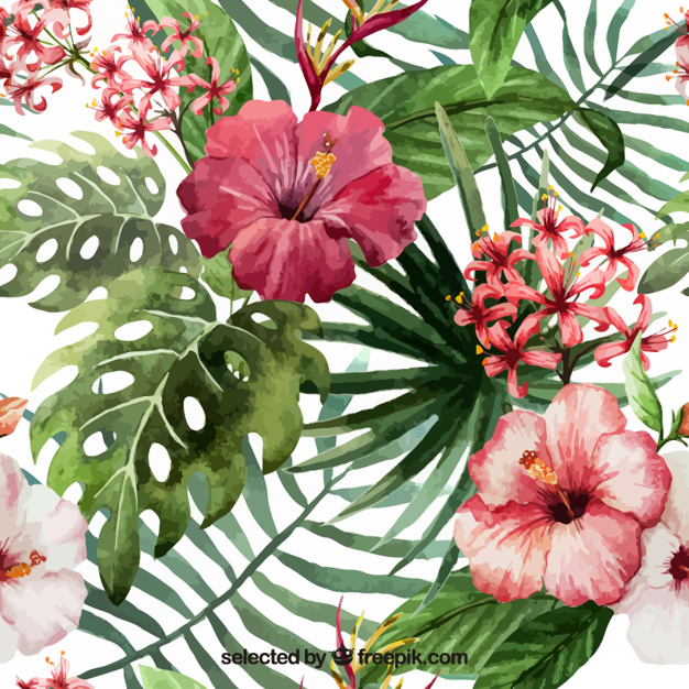 626x626 Hand Painted Tropical Flowers Vector Free Download - Watercolor Tropical Flowers