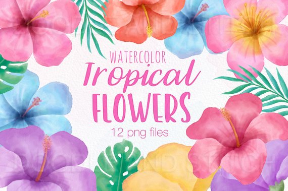 570x379 Tropical Flower Clipart Illustrations Watercolor Tropical Etsy - Watercolor Tropical Flowers