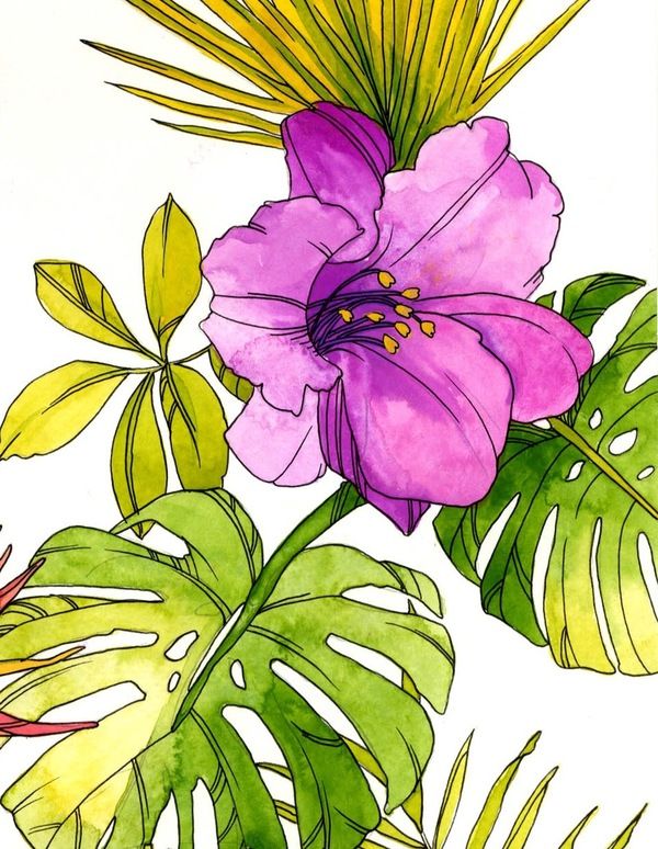 600x774 Tropical Flower Watercolor Doodleampdrawing Flower - Watercolor Tropical Flowers