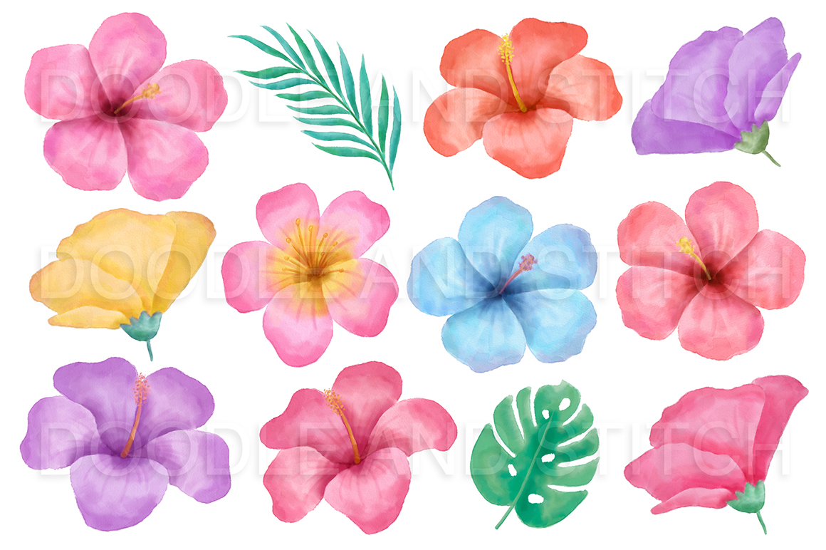 1160x772 Tropical Flower Watercolor Flower Illustrations By Doodle Art - Watercolor Tropical Flowers