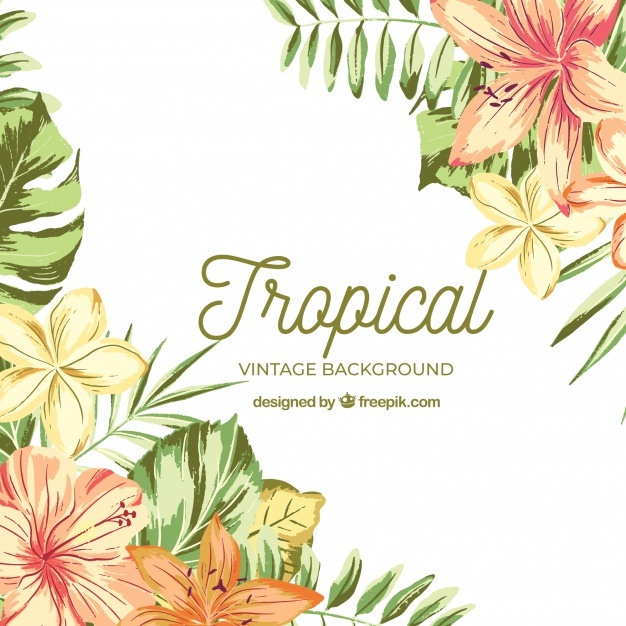 626x626 Tropical Flowers Vectors, Photos And Psd Files Free Download - Watercolor Tropical Flowers