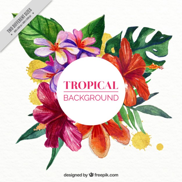626x626 Tropical Flowers Background In Watercolor Effect Vector Free - Watercolor Tropical Flowers
